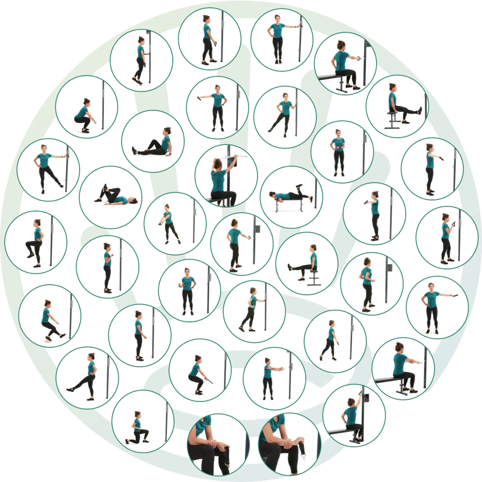 A circular montage of the Reforter's pre-installed exercises